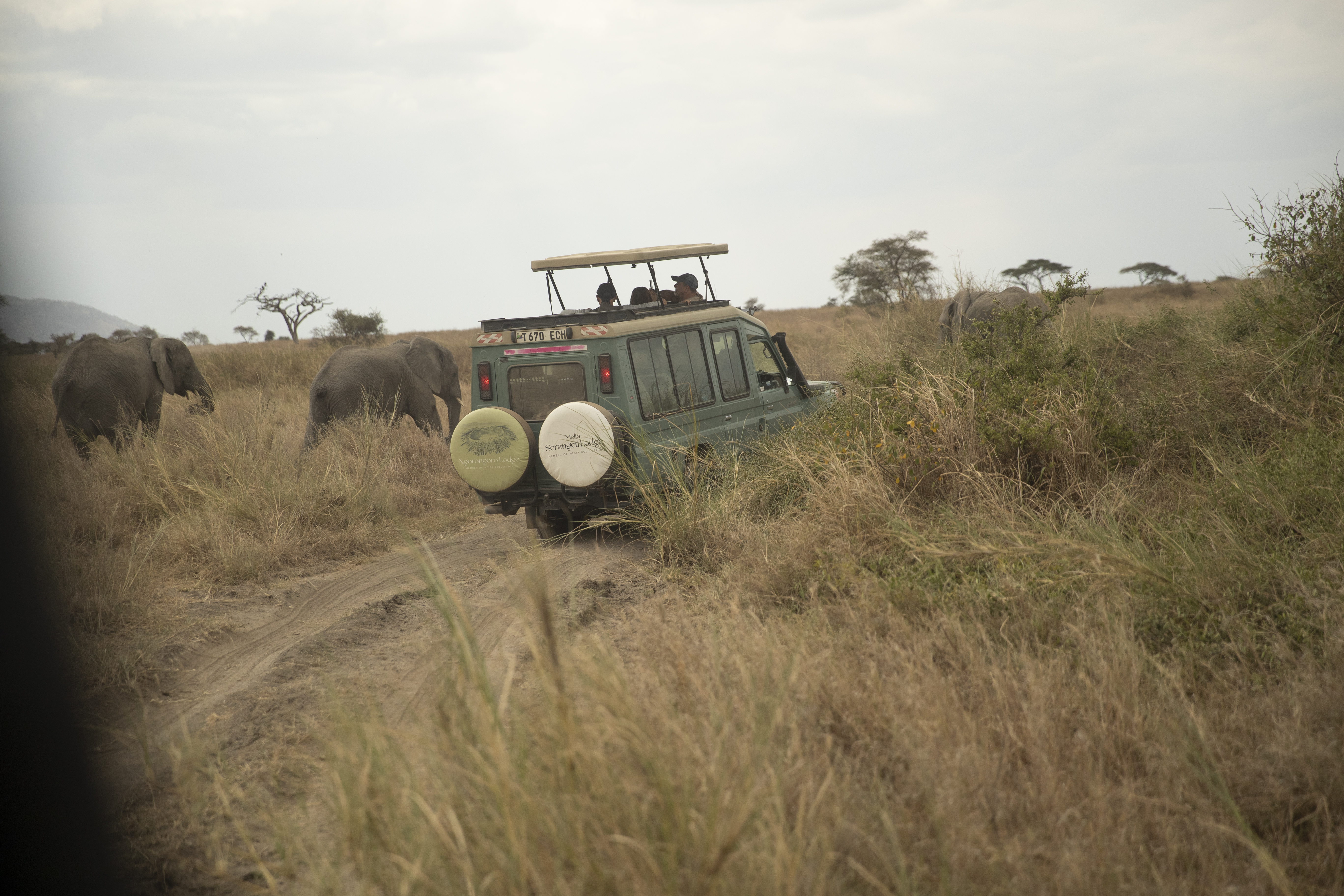 a vehicle driving through a grassy field