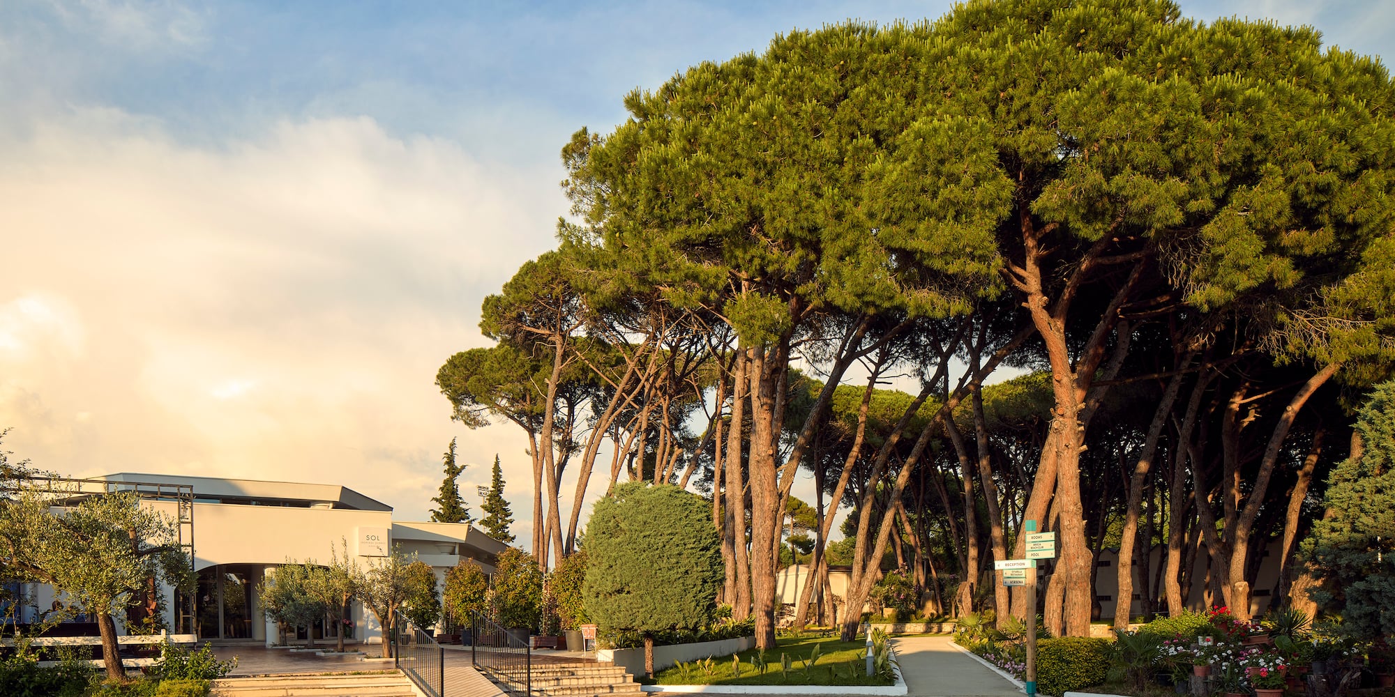 a road with trees and a building