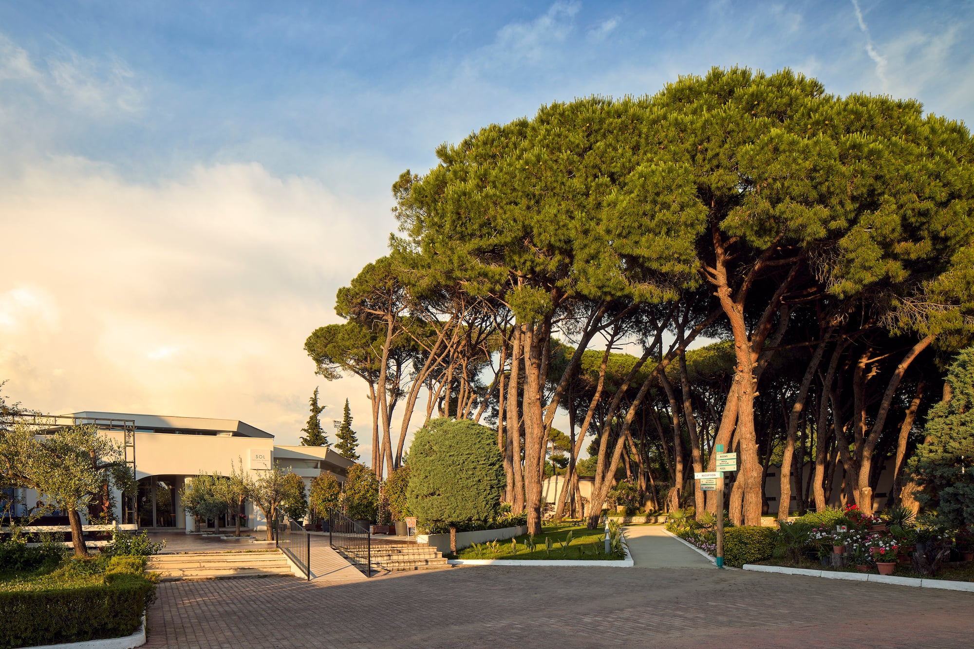 Sol resort entrance with stone pine trees, paved path, and golden hour light.