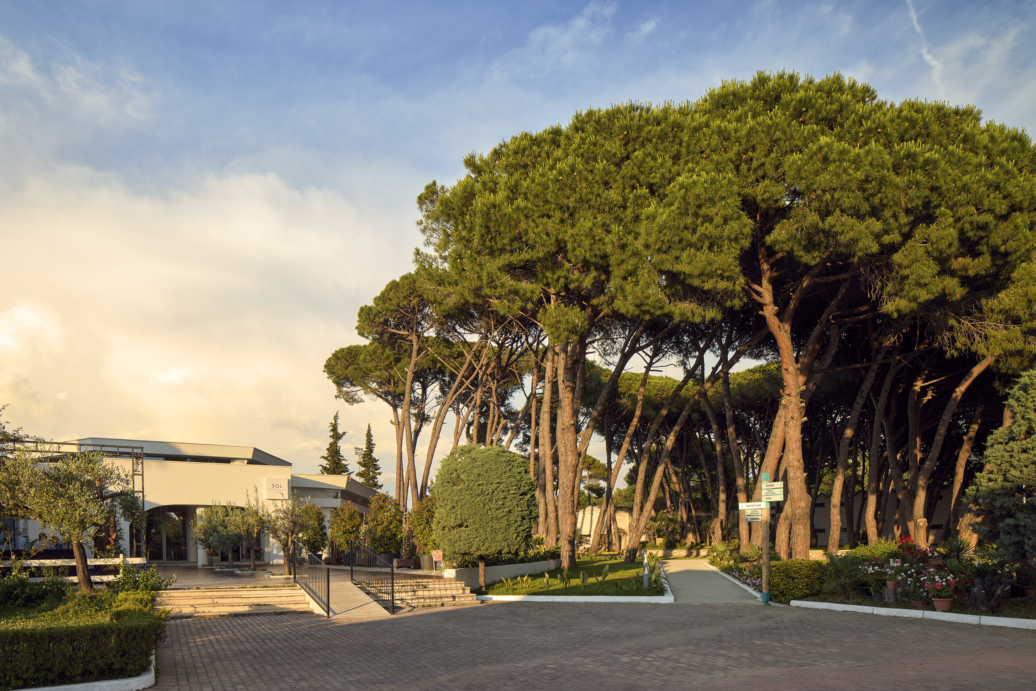 Sol resort entrance with stone pine trees, paved path, and golden hour light.