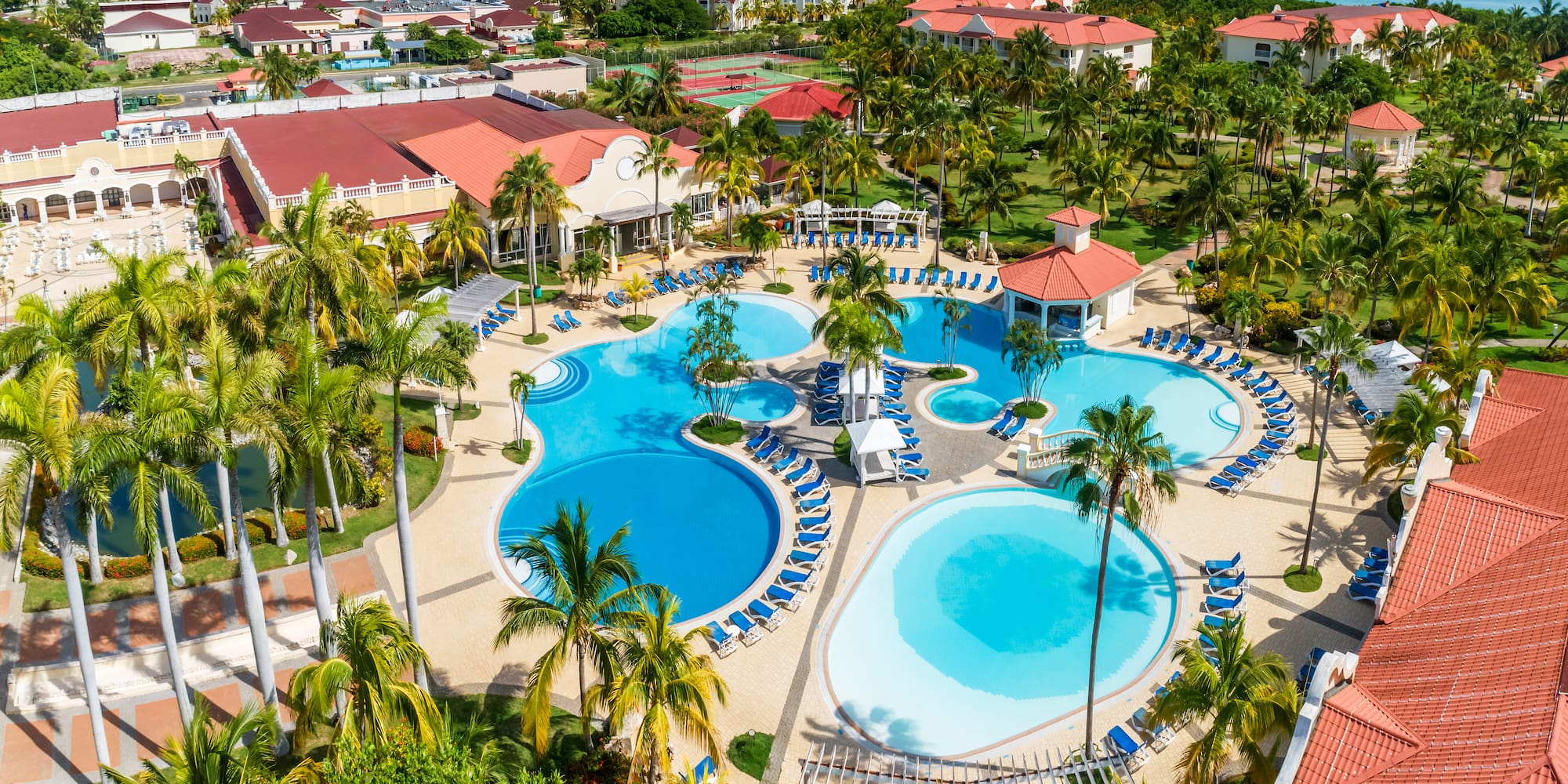 a swimming pool surrounded by palm trees