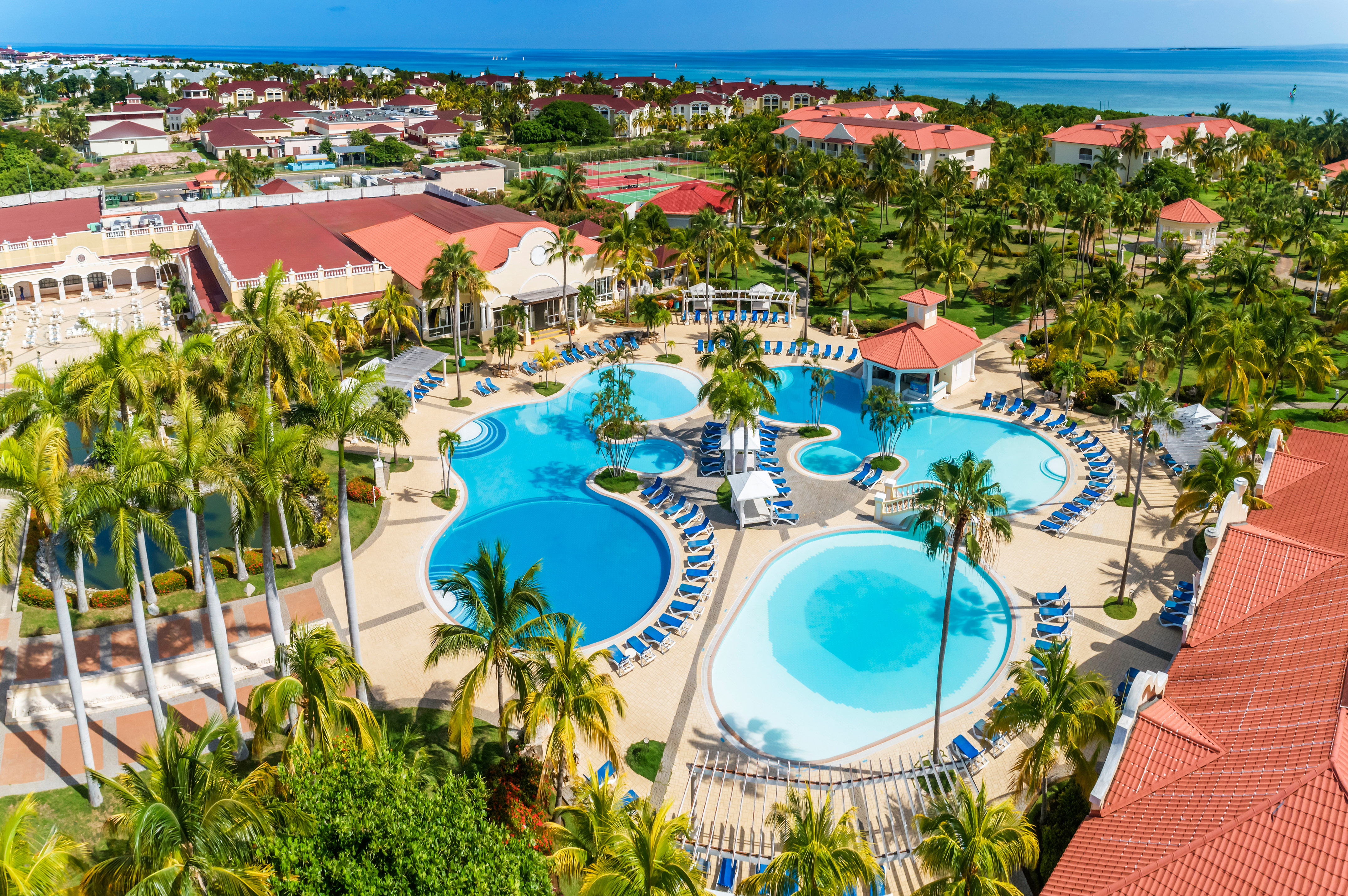 a swimming pool surrounded by palm trees