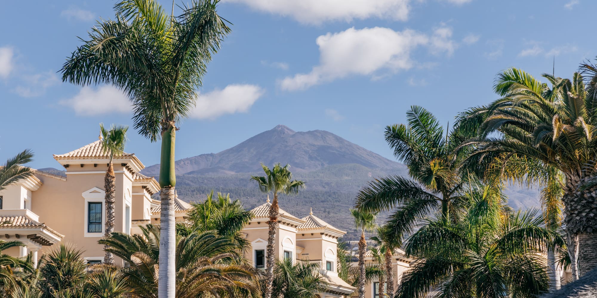 a building with palm trees and a mountain in the background