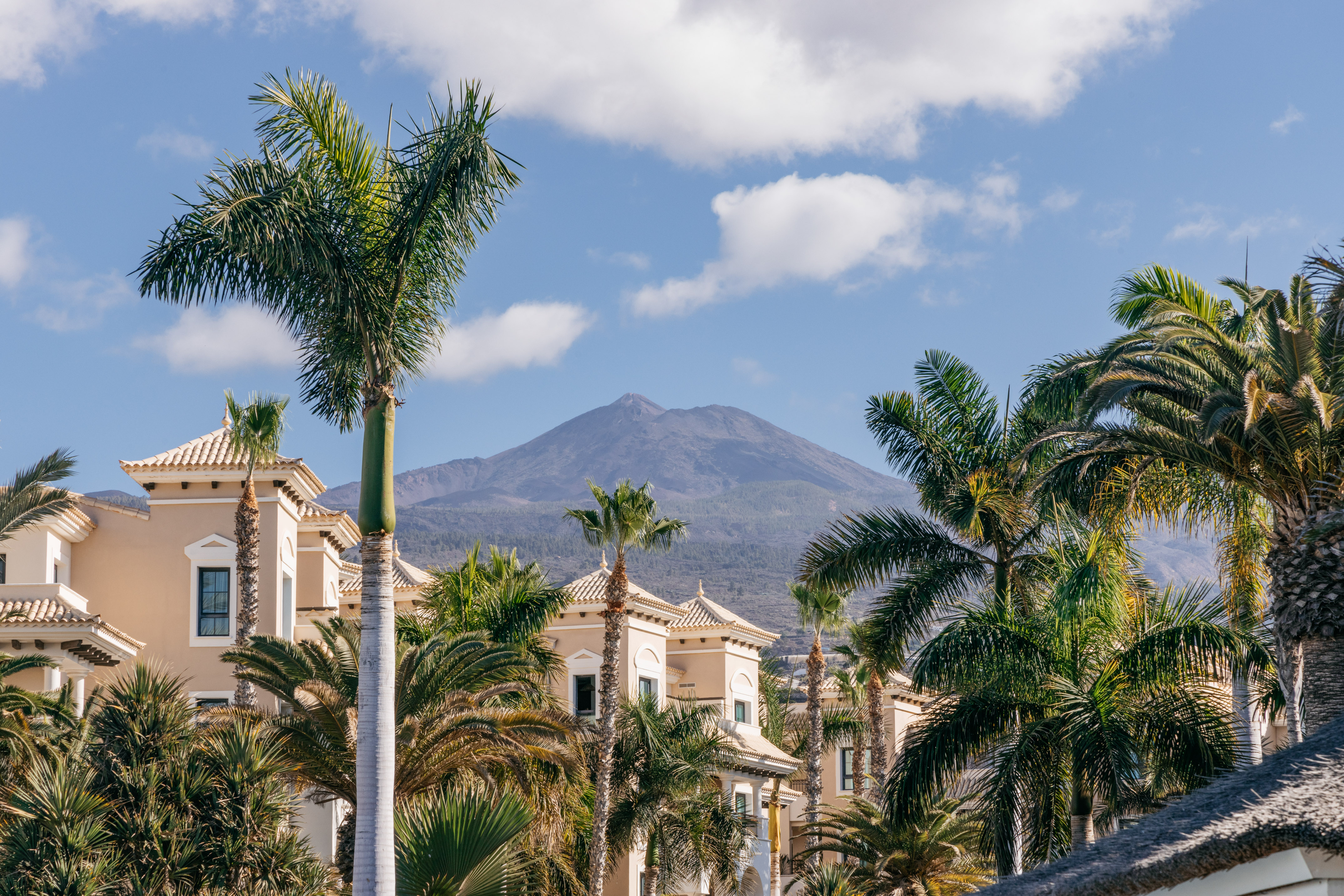 Tenerife resort with palm trees and Teide volcano.