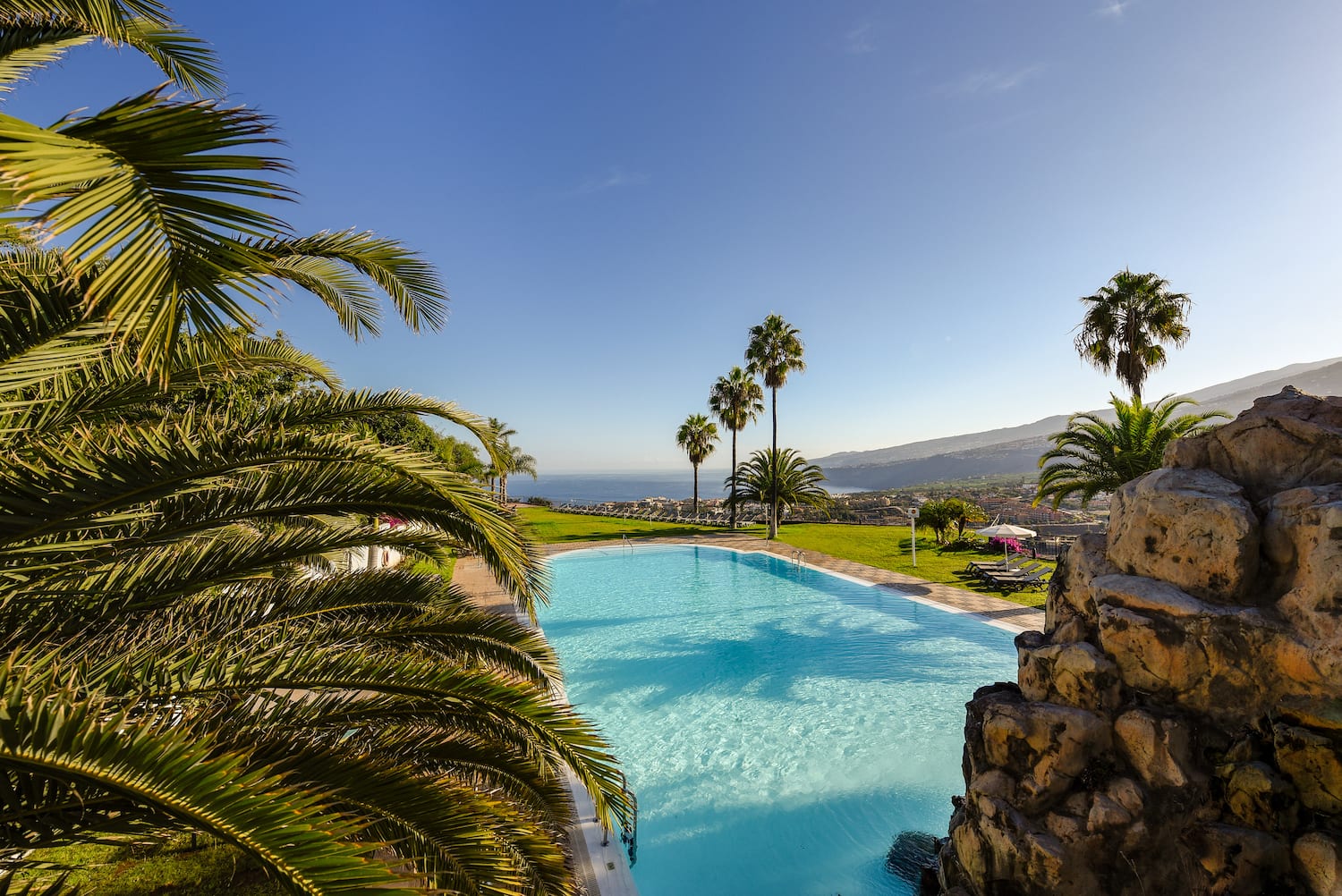 a pool with palm trees and a hill in the background