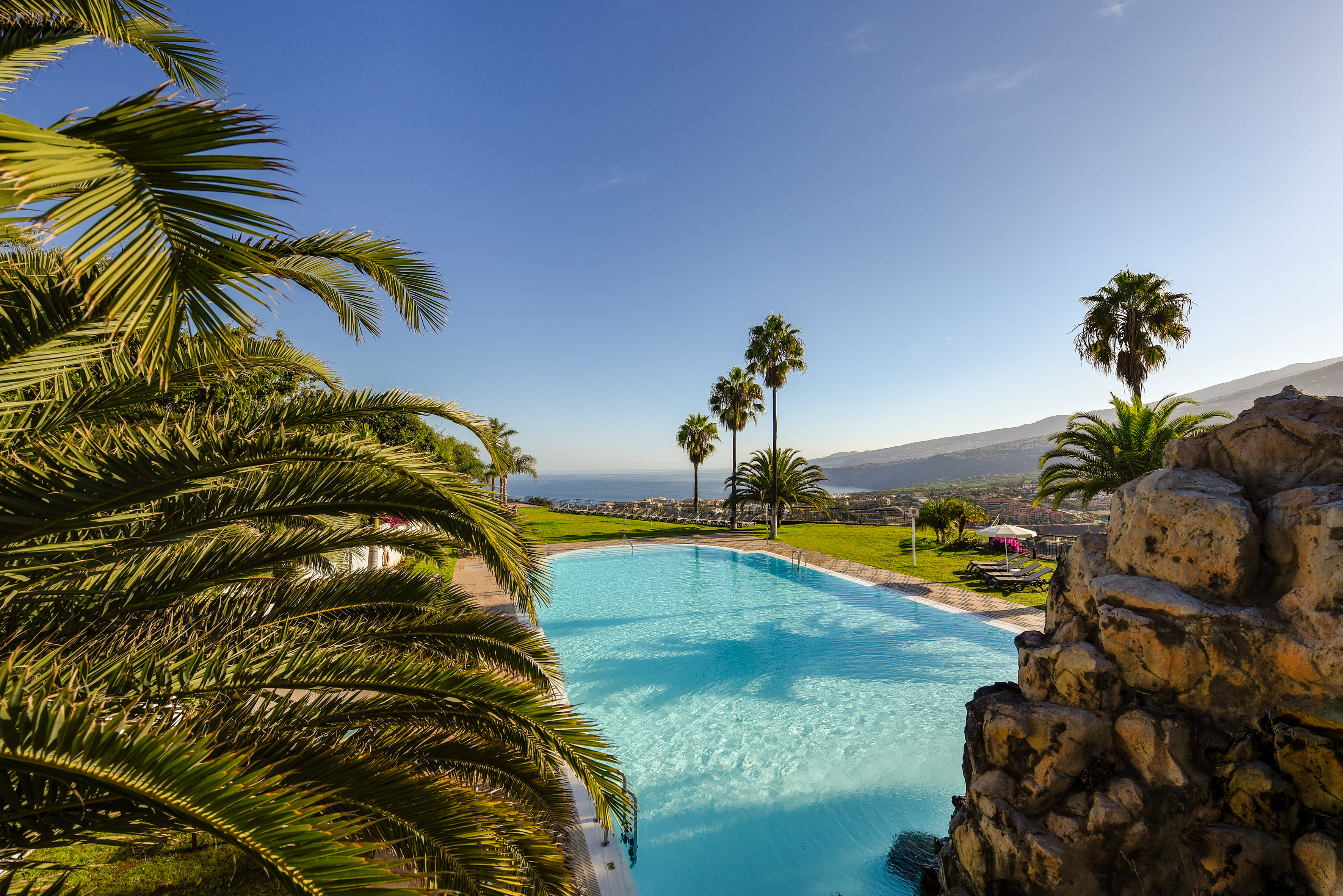 a pool with palm trees and a hill in the background