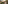 Couple walks towards a luxury glamping tent on a wooden deck in a forest.