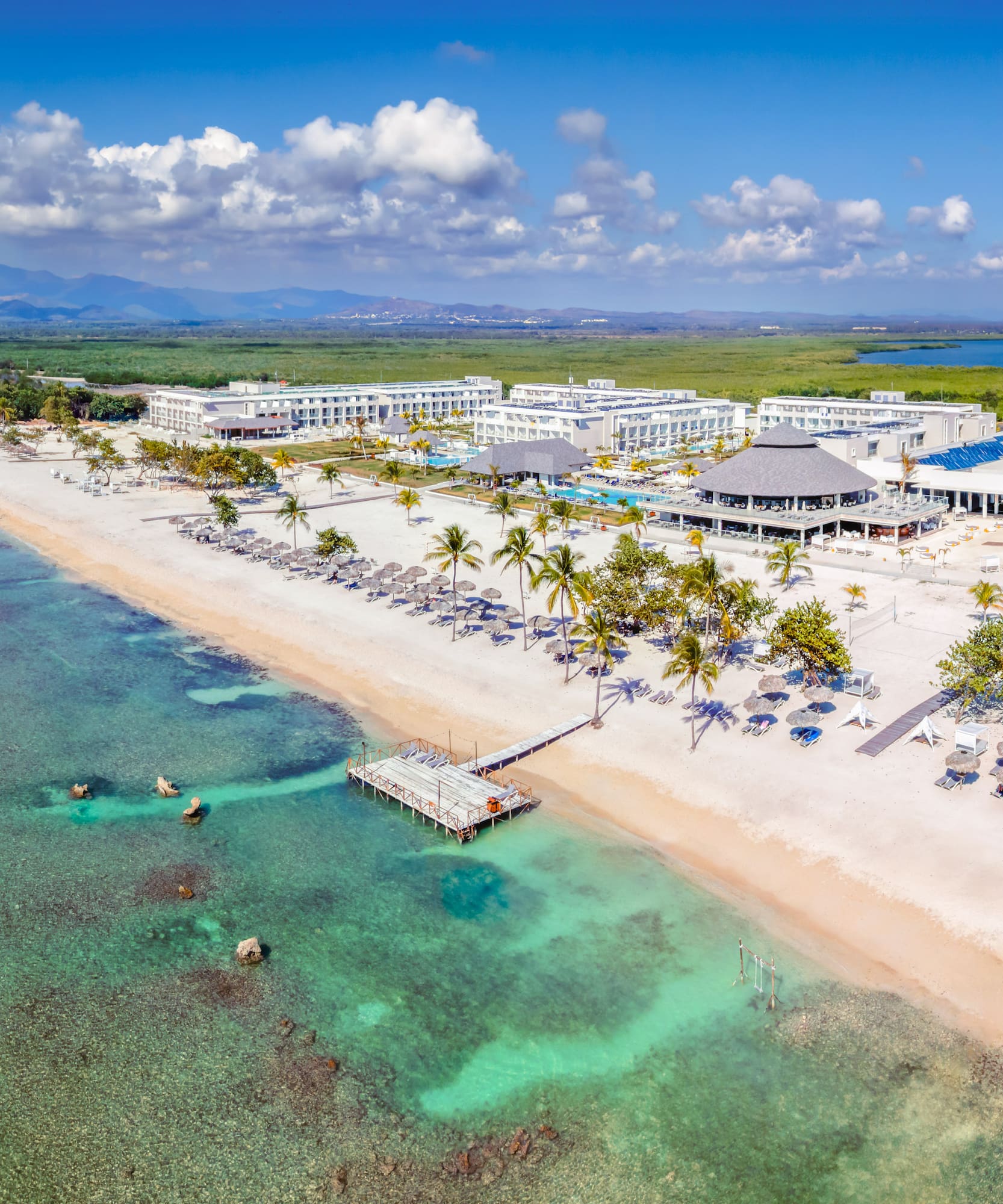 a beach with palm trees and a dock