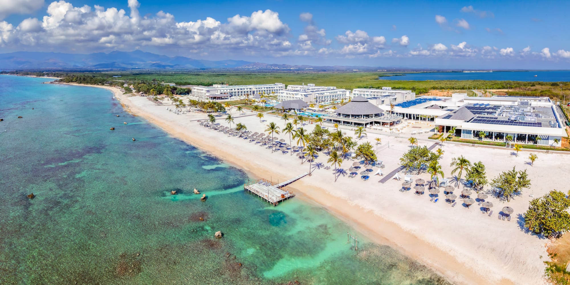 a beach with palm trees and a dock