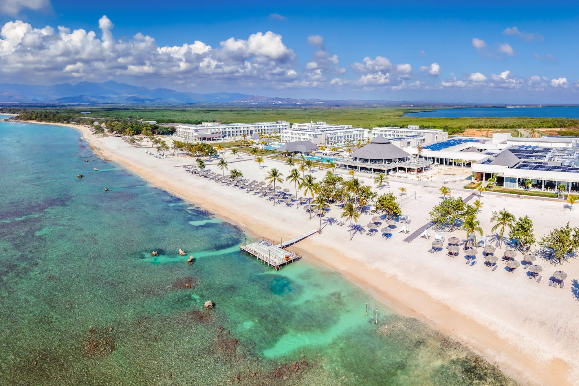 a beach with palm trees and a dock