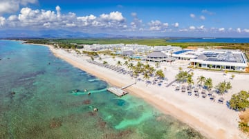 a beach with palm trees and a dock