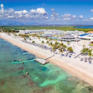 a beach with palm trees and a dock