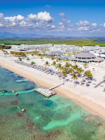 a beach with palm trees and a dock