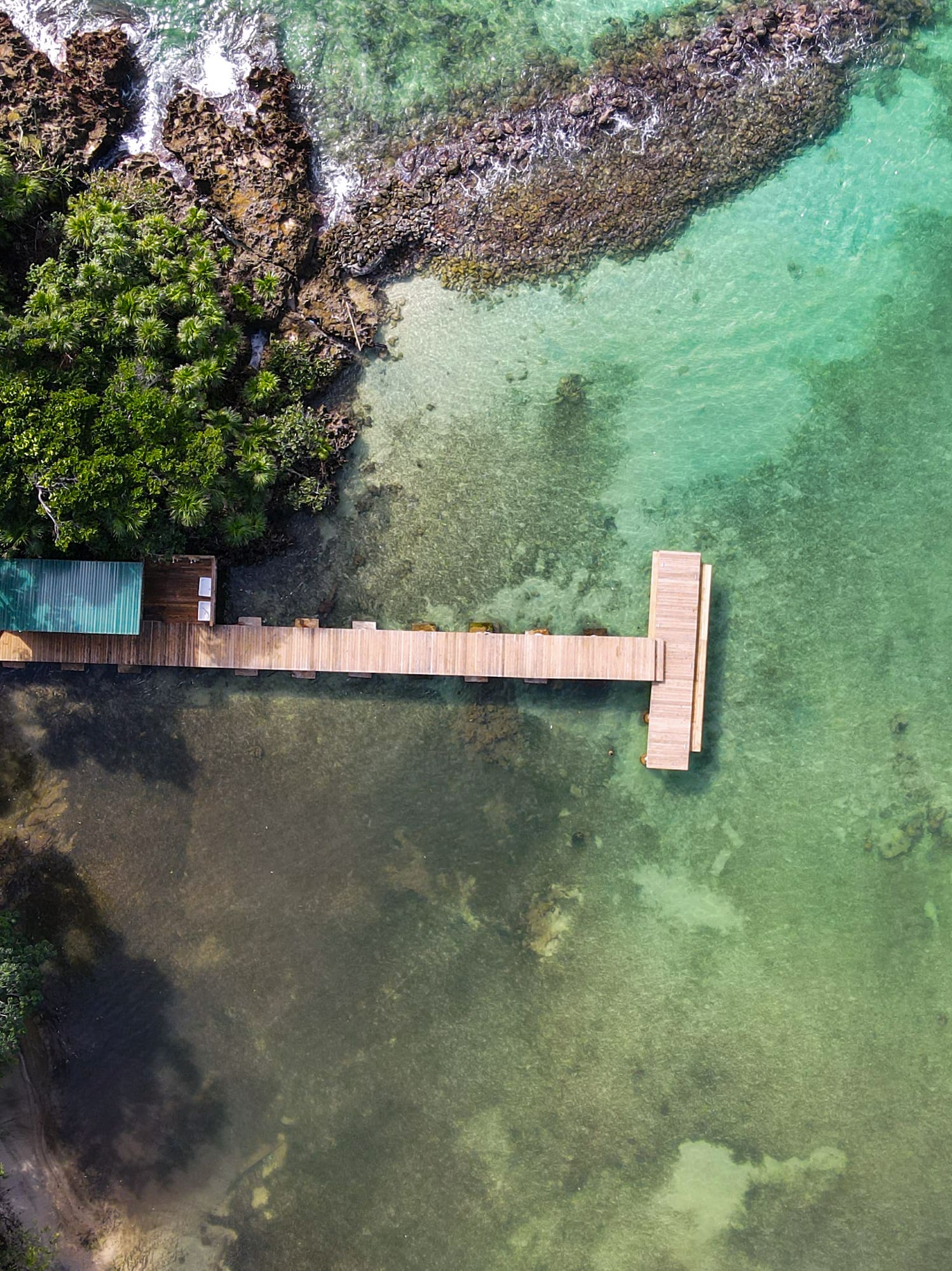 a dock over water with trees