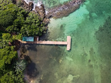 a dock over water with trees