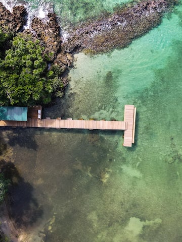 a dock over water with trees
