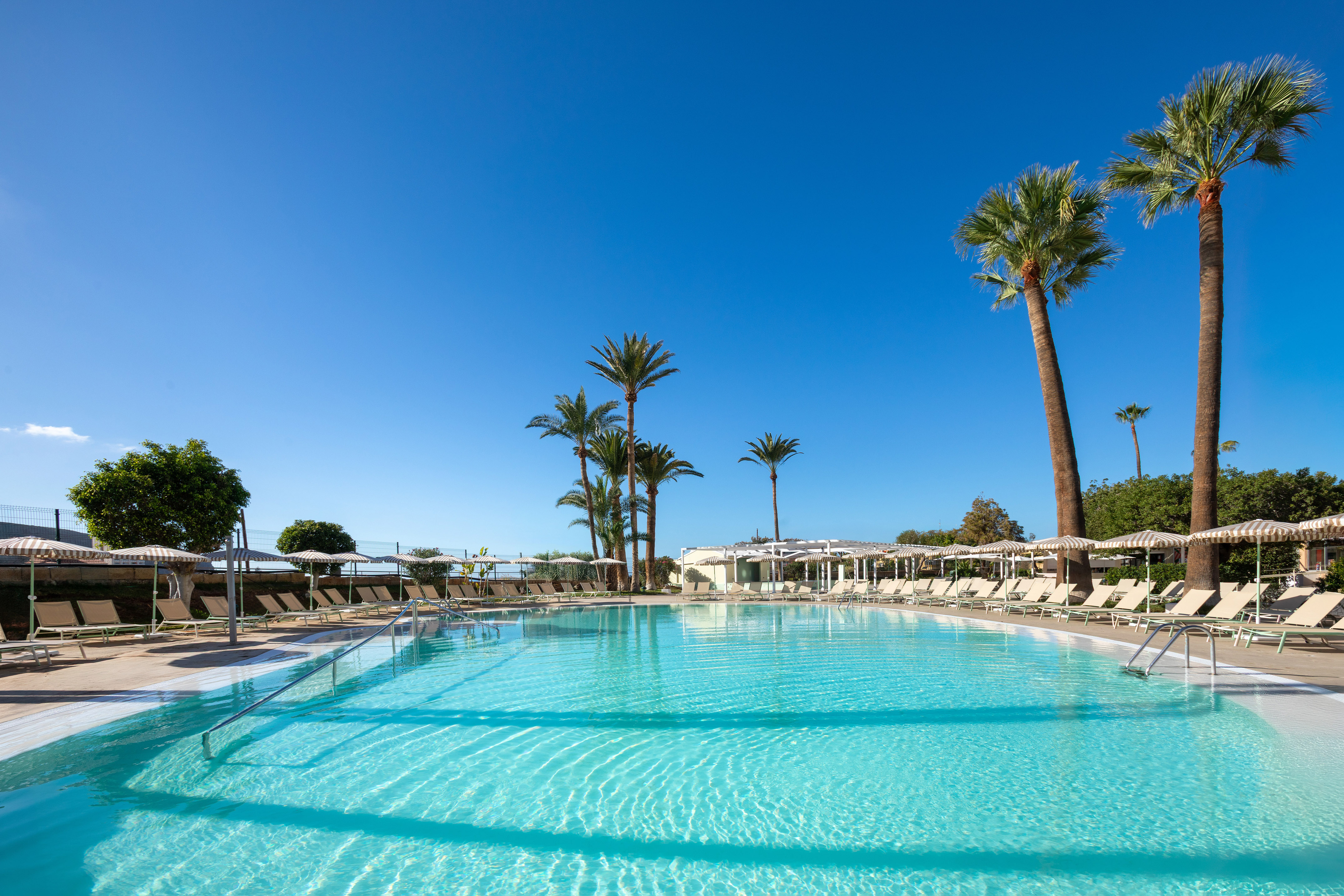 Sunny resort pool with blue water, palm trees, and lounge chairs.