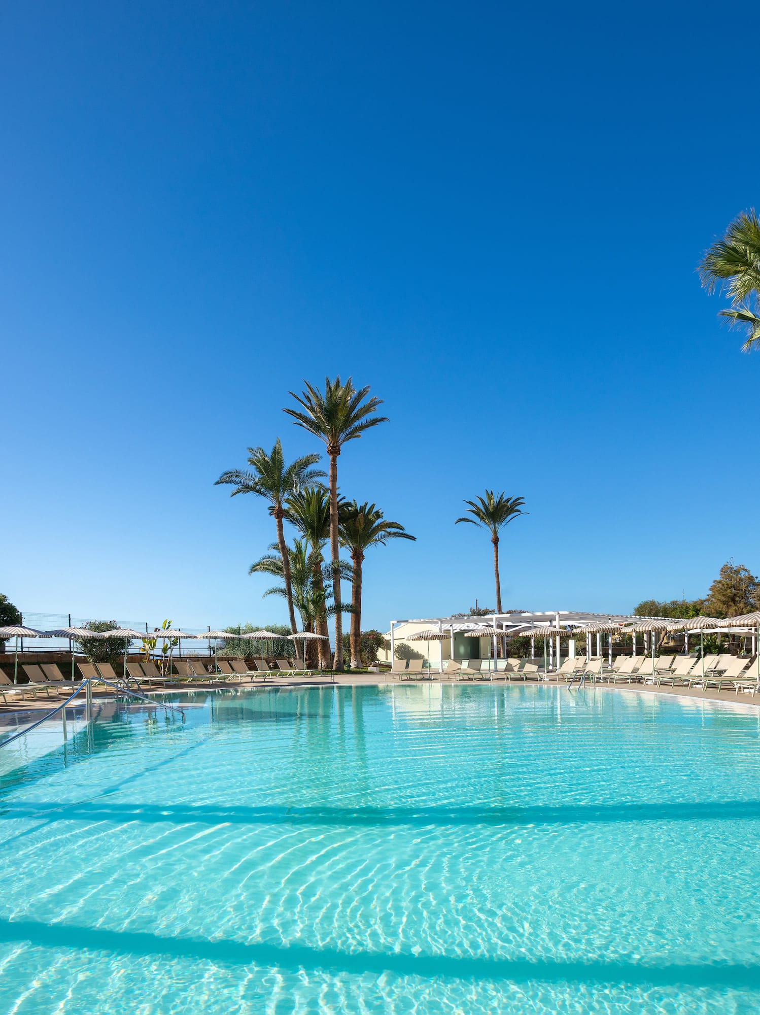 Sunny resort pool with blue water, palm trees, and lounge chairs.