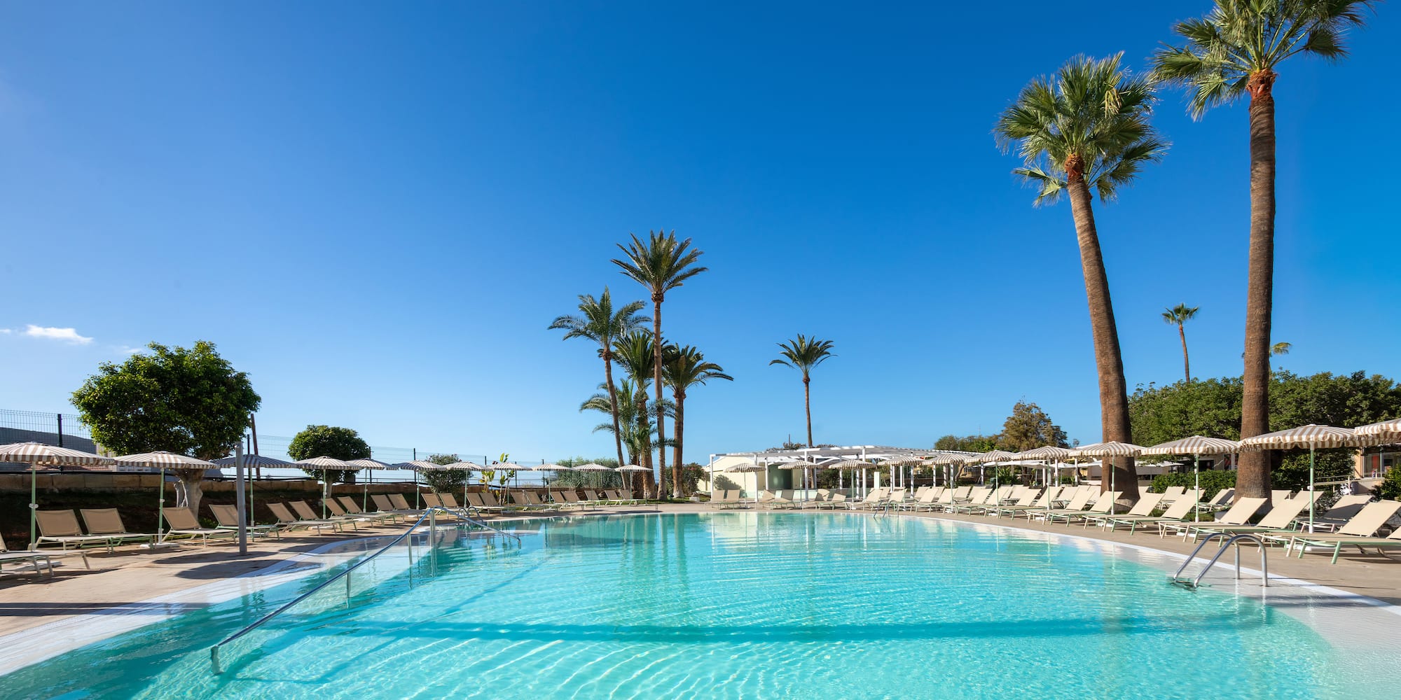 a pool with lounge chairs and palm trees