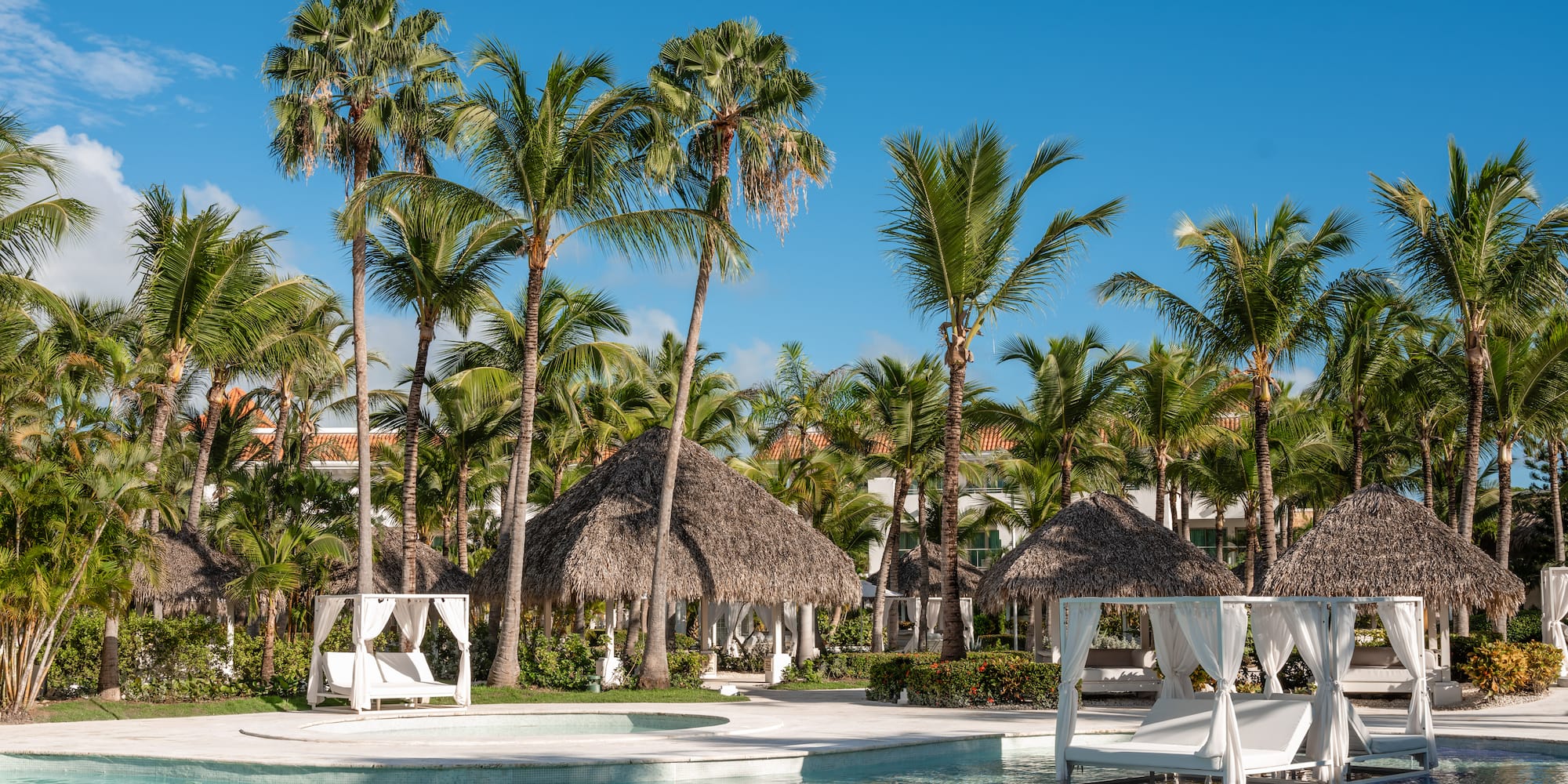 a pool with chairs and palm trees