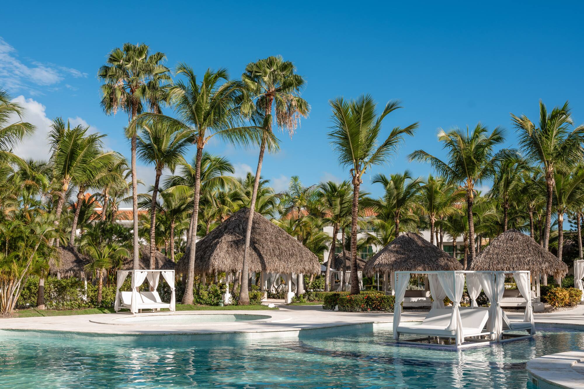 a pool with chairs and palm trees