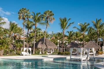a pool with palm trees and chairs