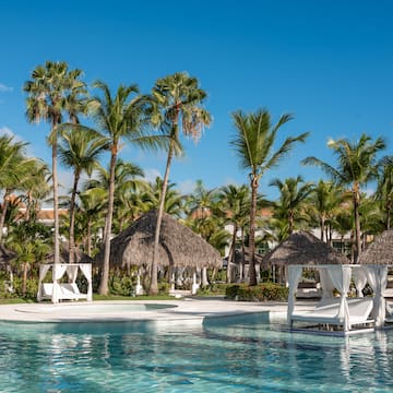 a pool with chairs and palm trees