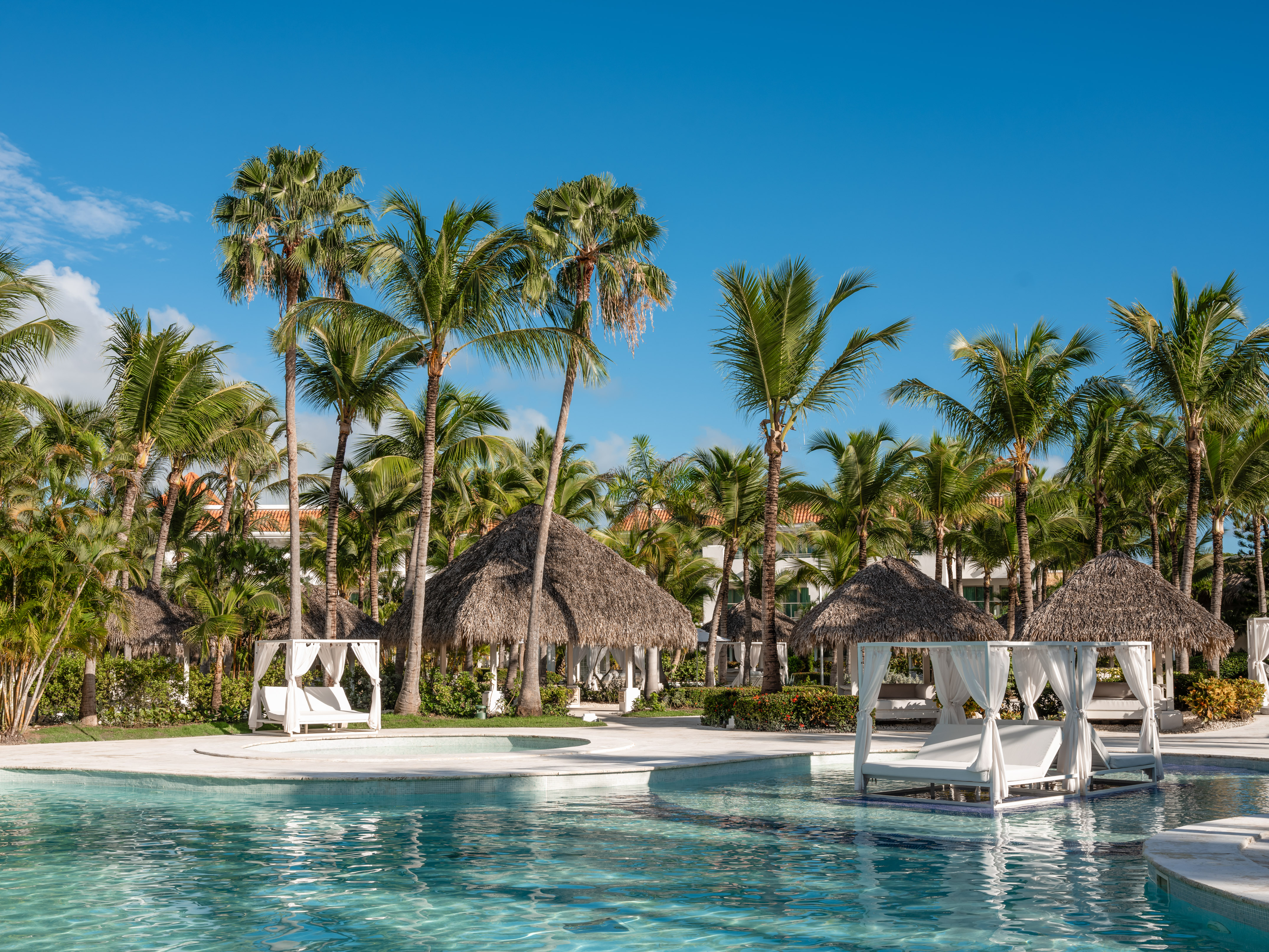 a pool with chairs and palm trees