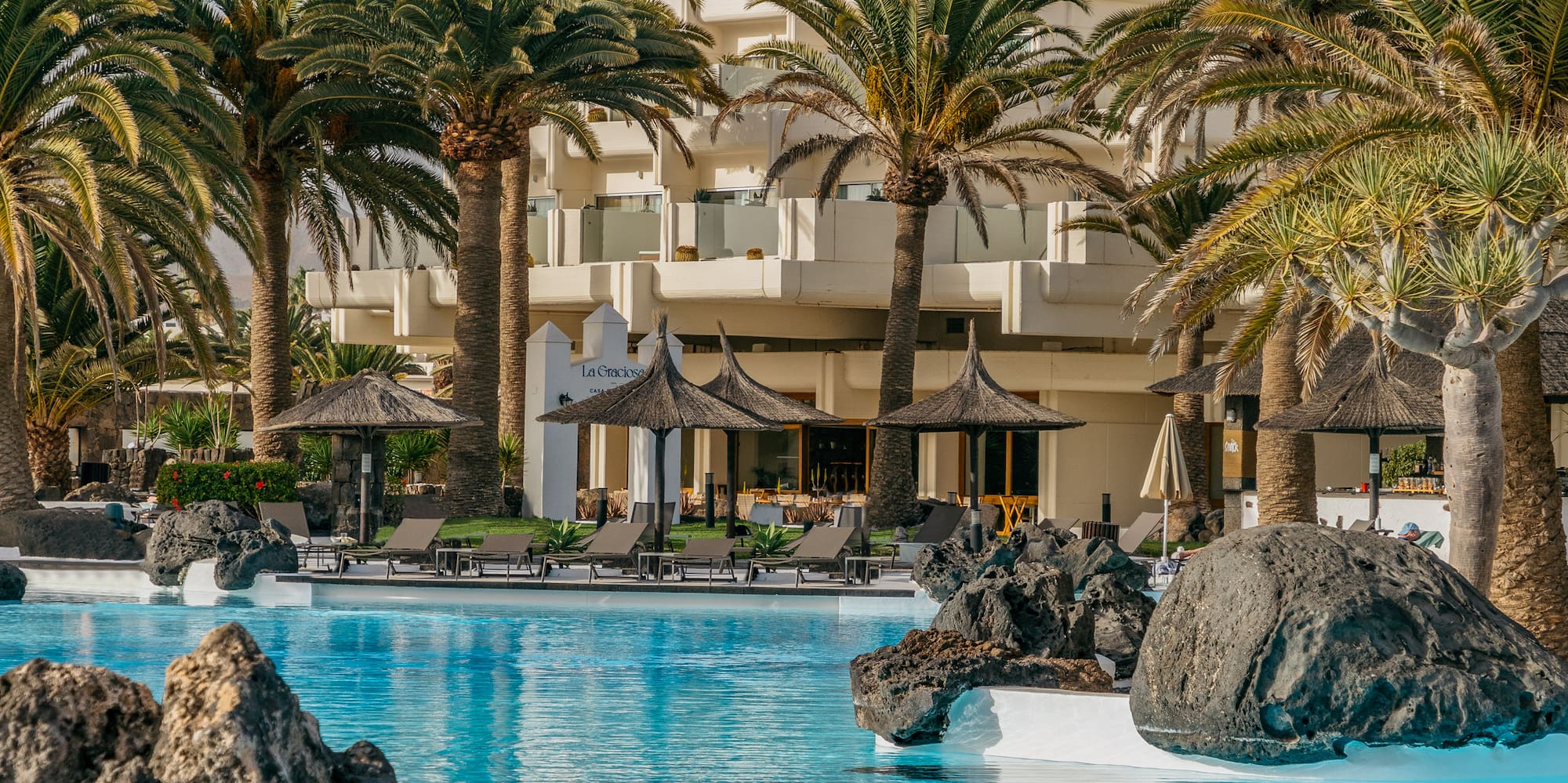 a pool with palm trees and rocks in front of a hotel
