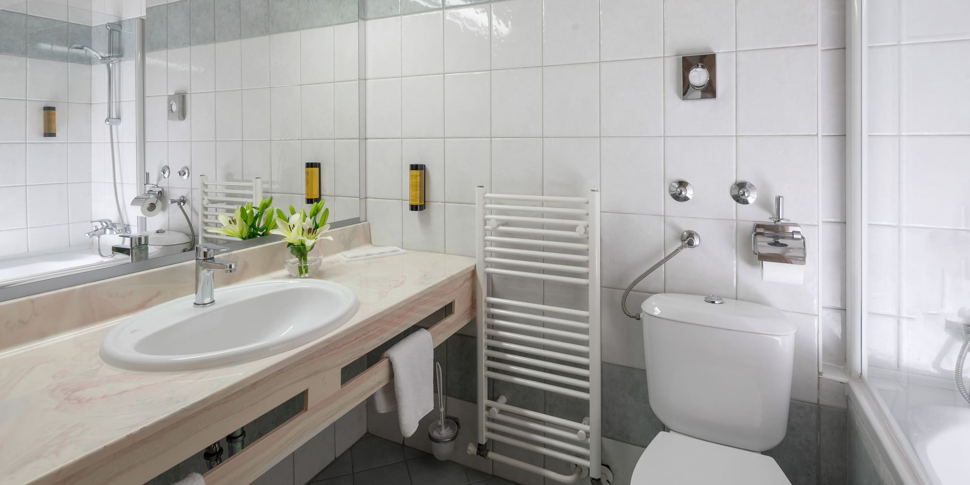 a bathroom with a sink and toilet