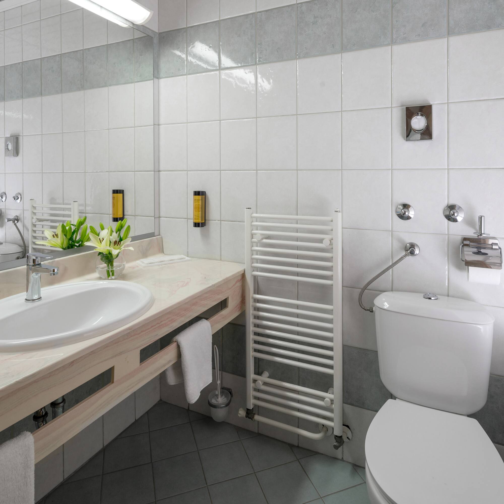 a bathroom with a sink and toilet