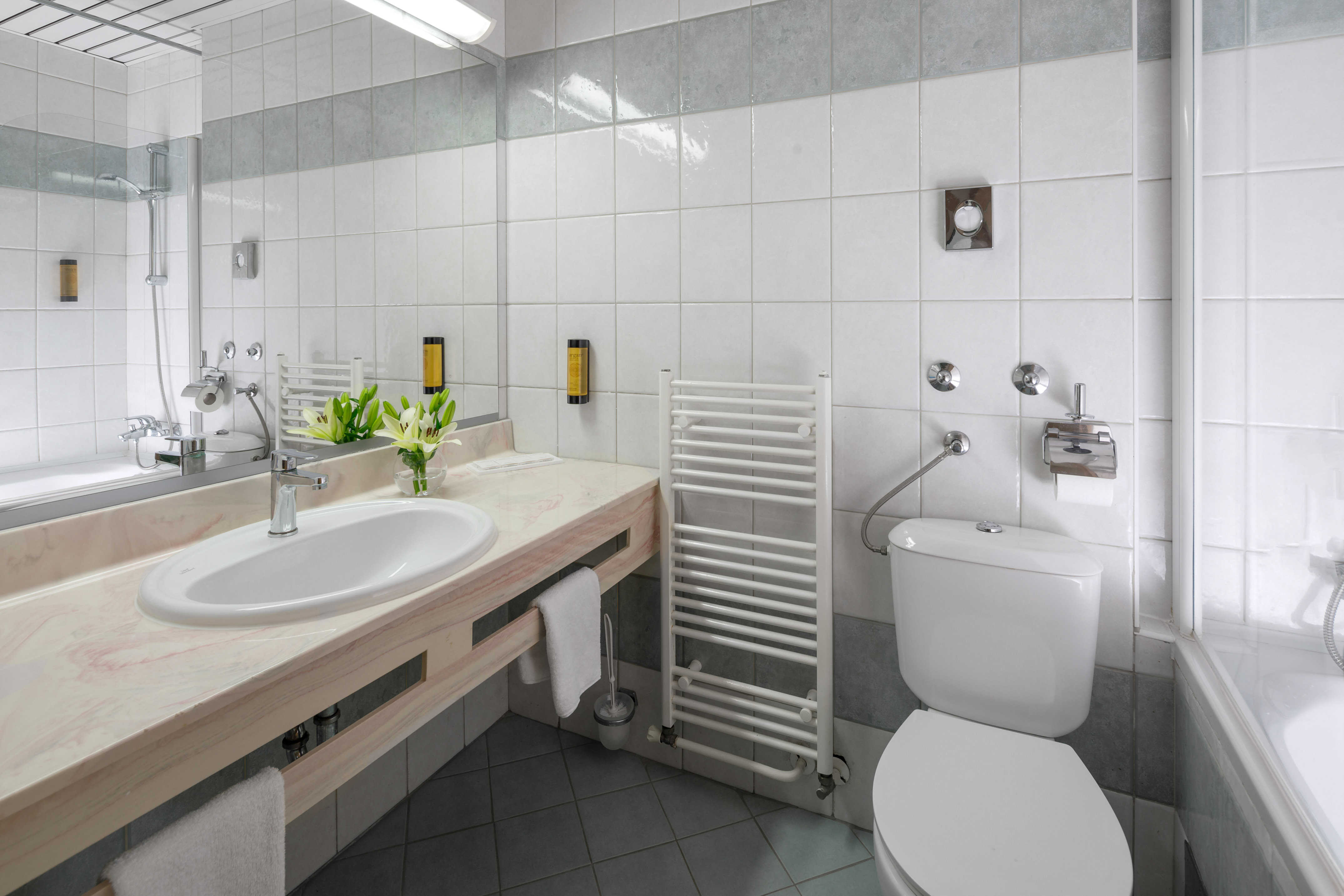 a bathroom with a sink and toilet
