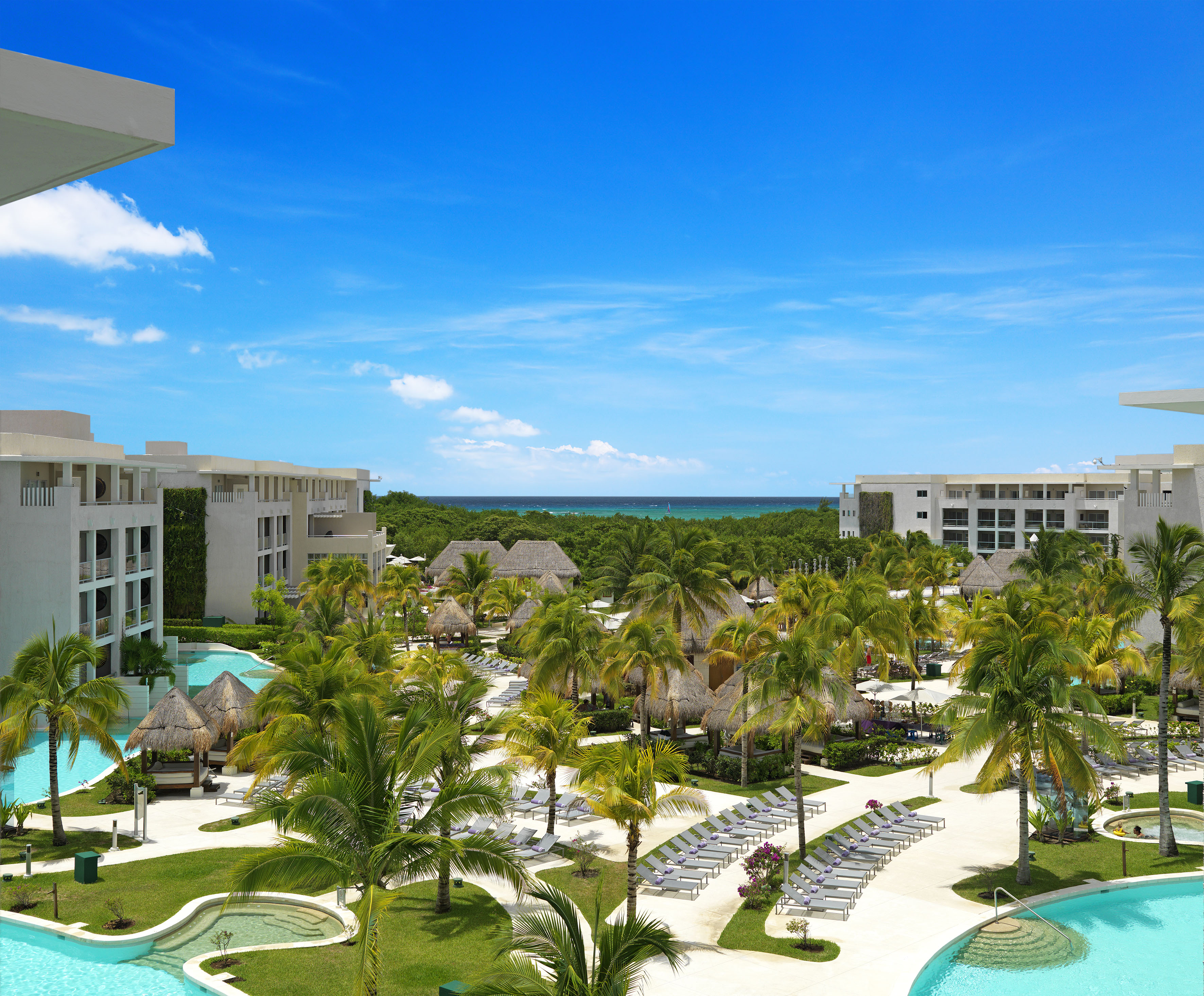 a pool and palm trees in a resort