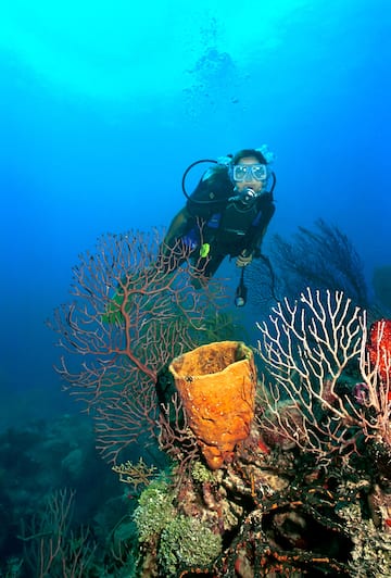 a woman scuba diving under water