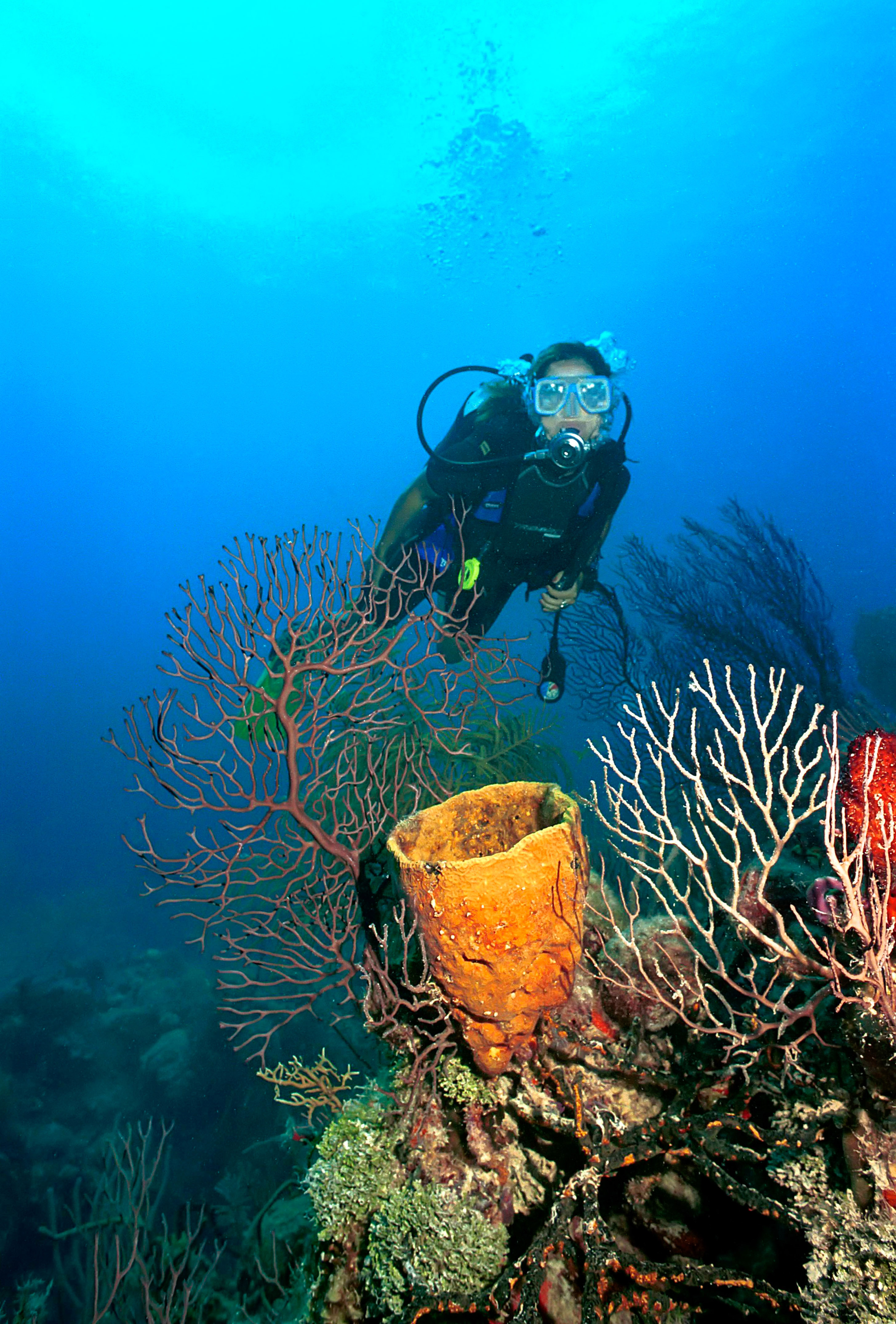 a woman scuba diving under water