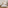 Hotel bedroom with king bed, wooden accents, closet, ceiling fan, and natural decor.