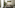 Modern living room with grey sofa, colorful abstract painting, and tall ficus plant.