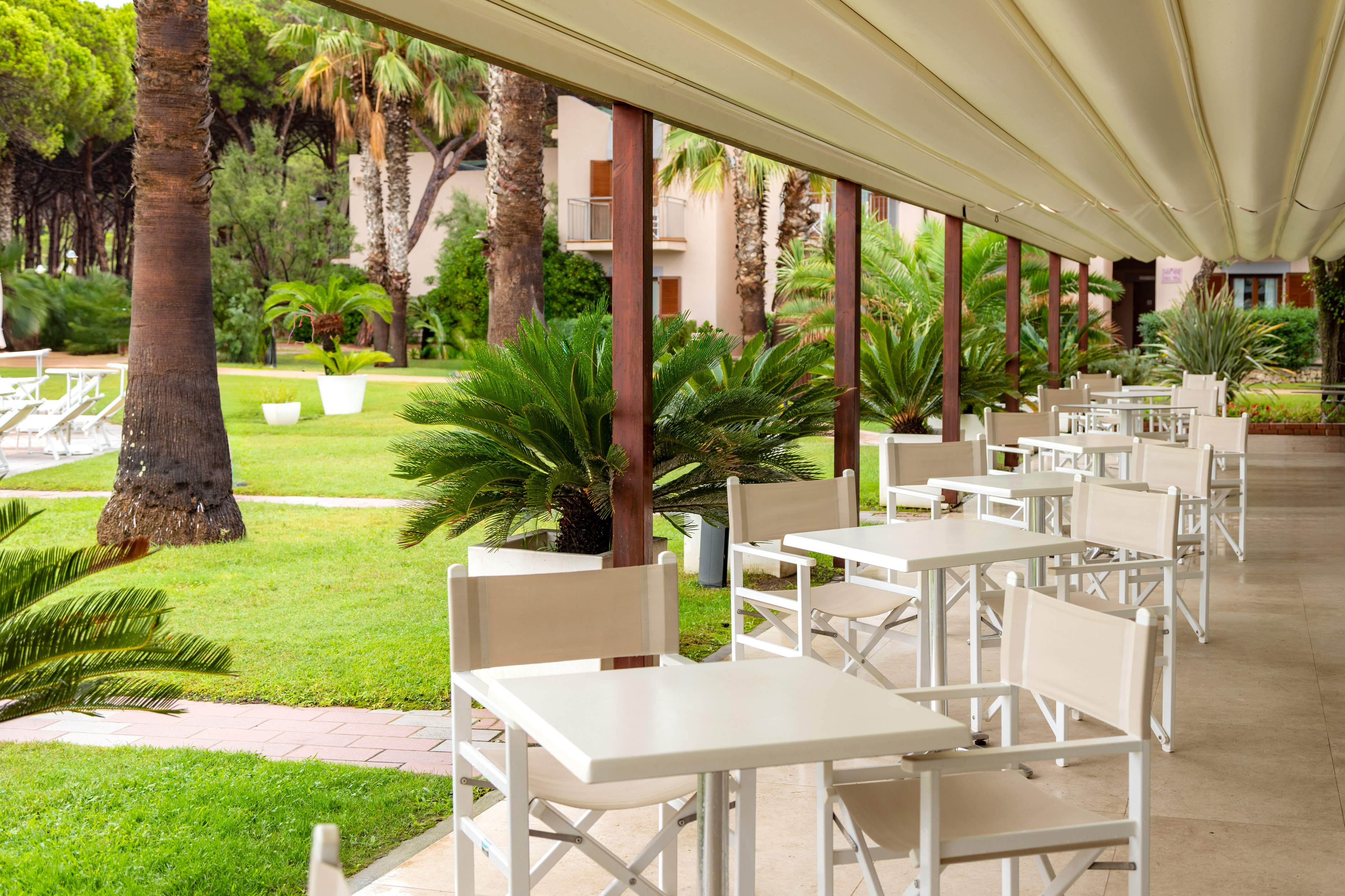 Outdoor restaurant terrace with white tables, chairs, palm trees, and green lawn.