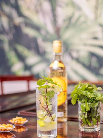 a glass of liquid with a plant in it