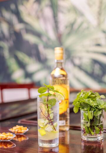 a glass of liquid with a plant in it
