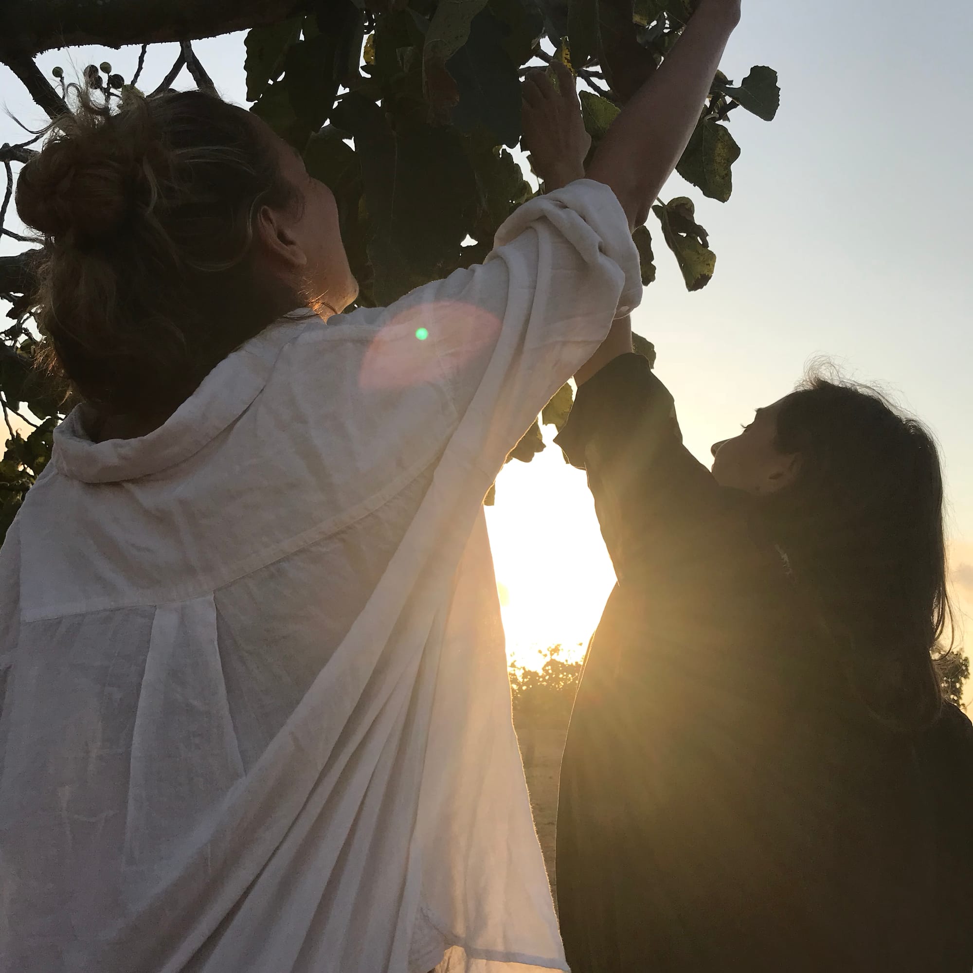 a woman reaching for a tree