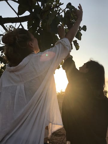 a woman reaching for a tree