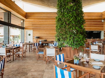 a room with tables and chairs and a tree