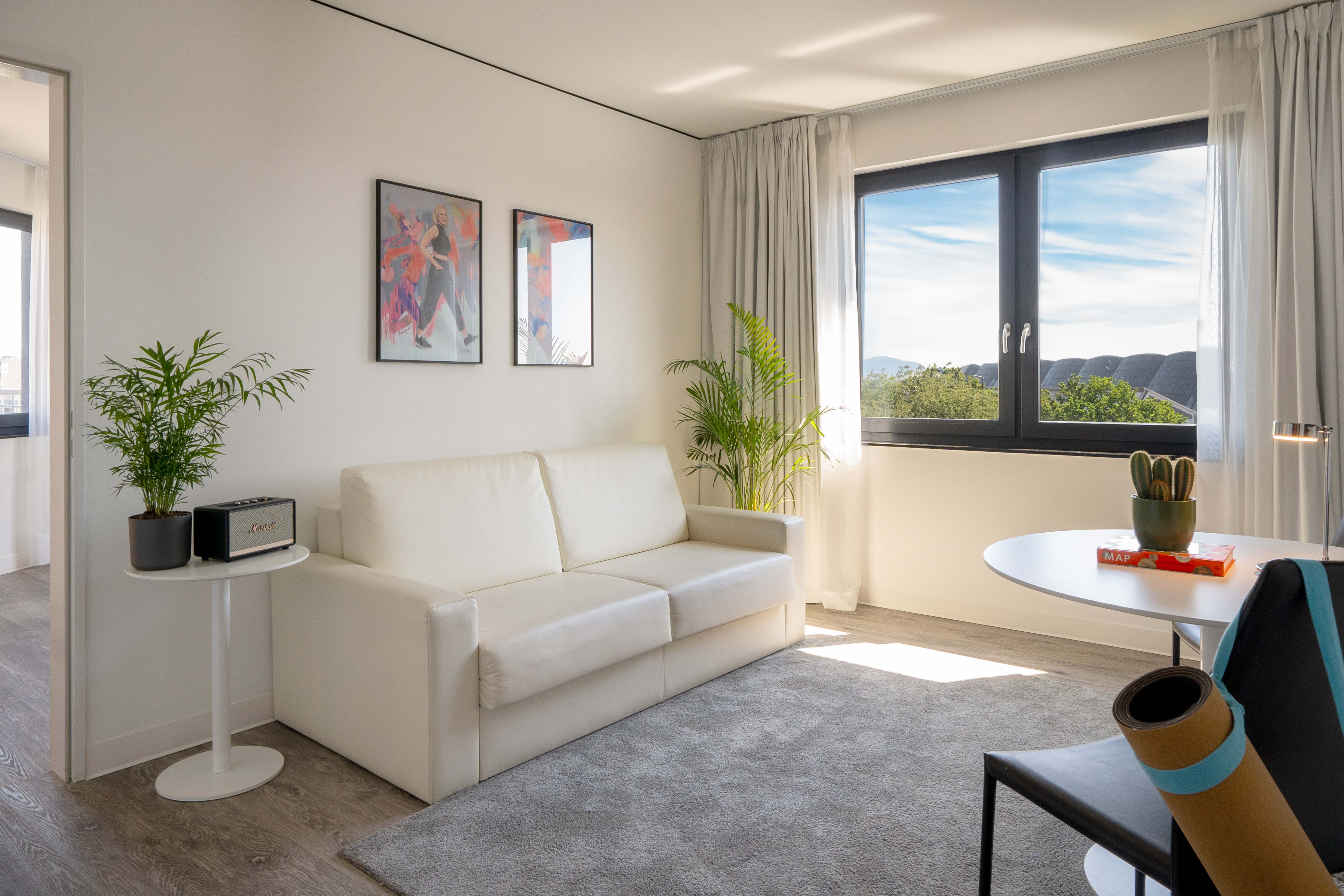 Modern studio living room with white sofa, bright window, and potted plants.