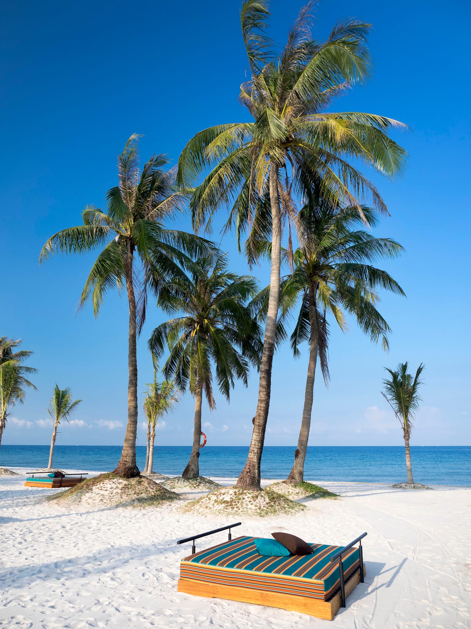 a beach with palm trees and a chair on a sandy beach