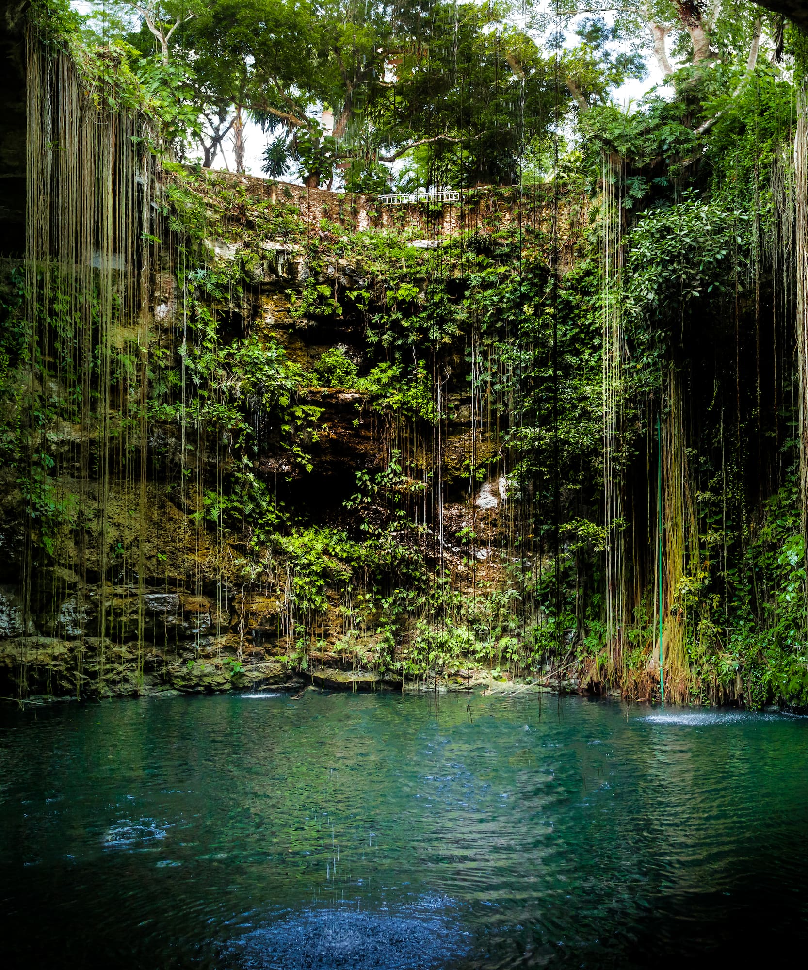 Ancient cenote with tropical vines, green cave walls, and deep turquoise water.
