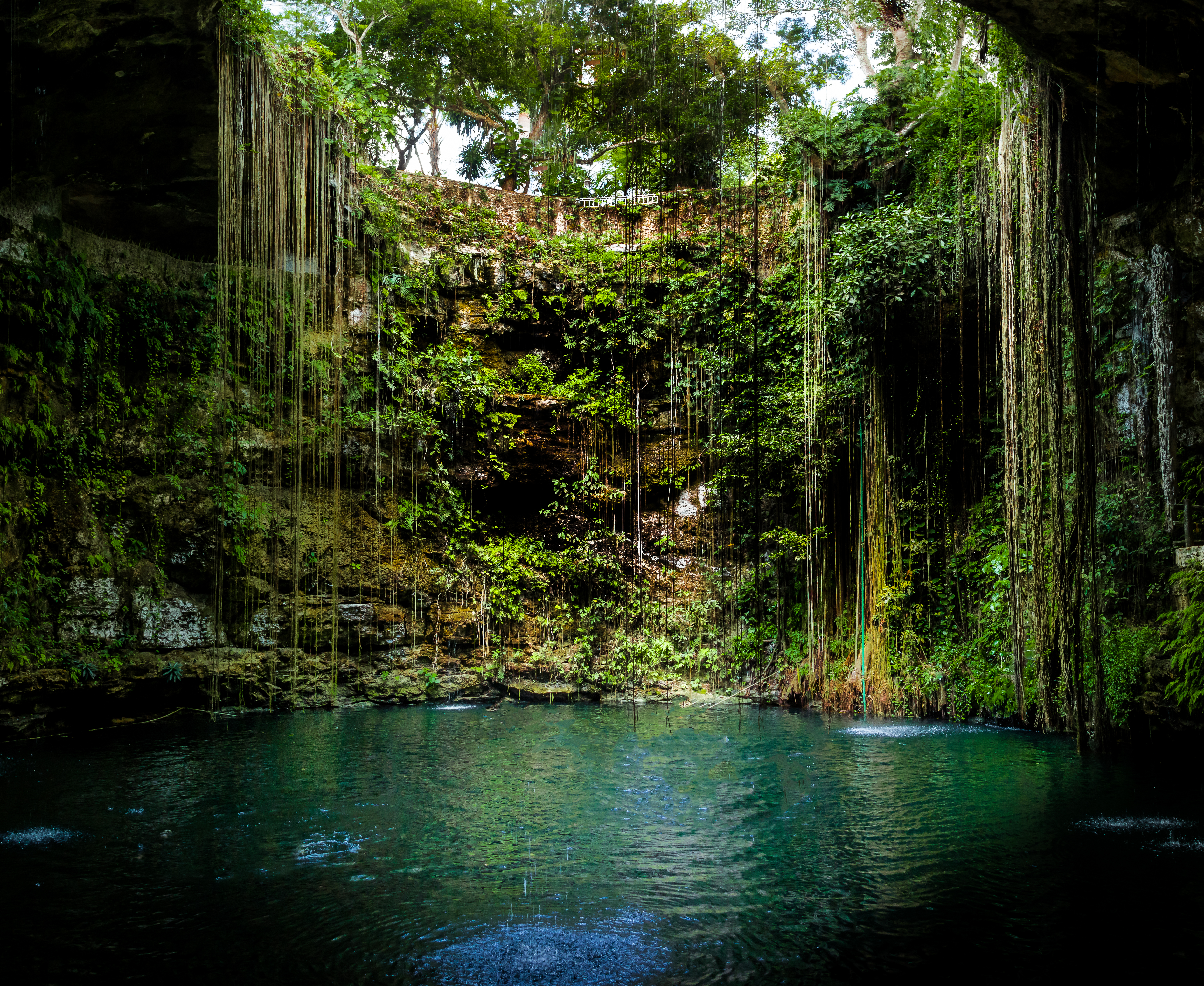 Ancient cenote with tropical vines, green cave walls, and deep turquoise water.