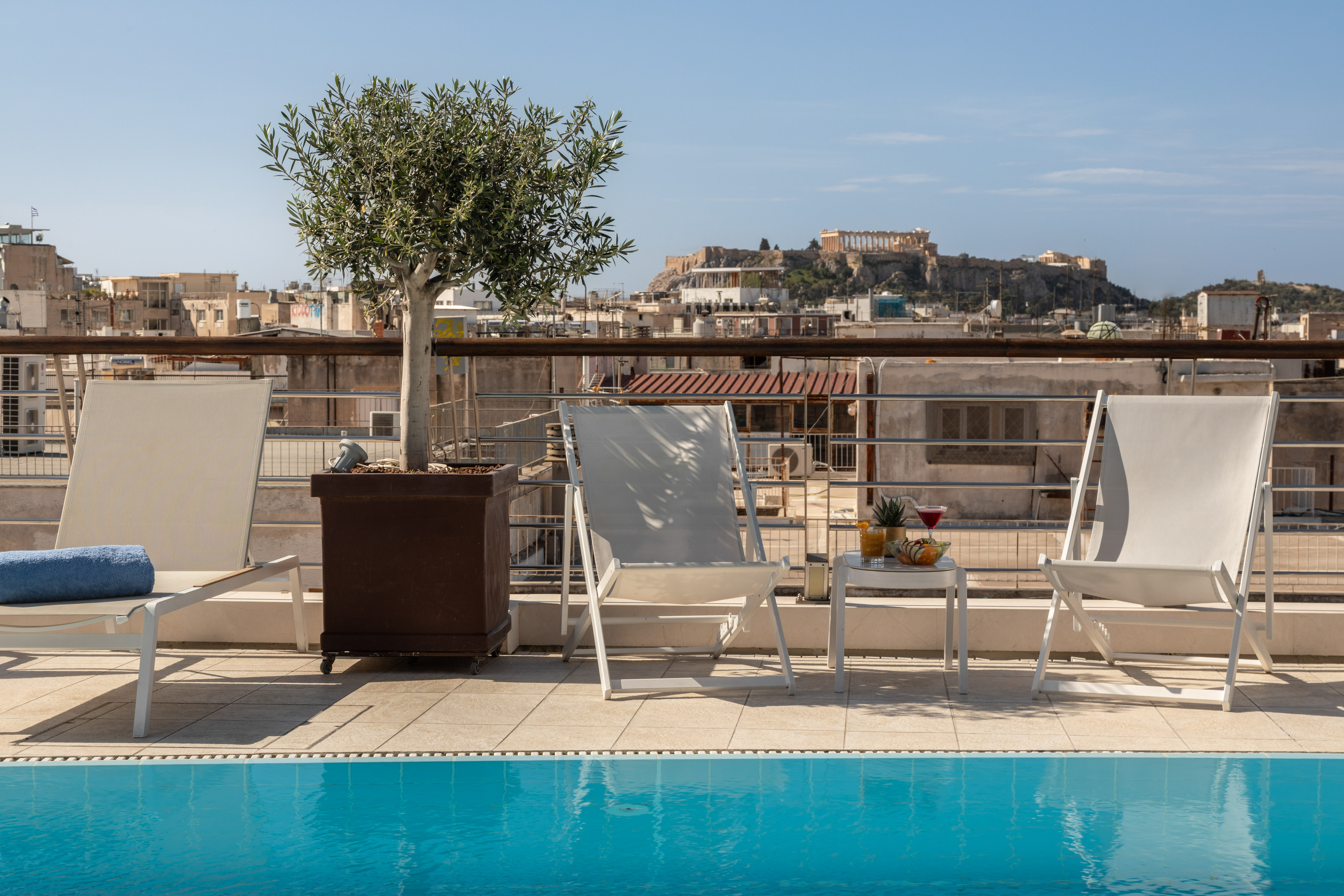 Rooftop pool in Athens with Acropolis view, lounge chairs, olive tree.