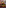 Tarta Tatin de cebolla, microvegetales y ensalada fresca en madera.