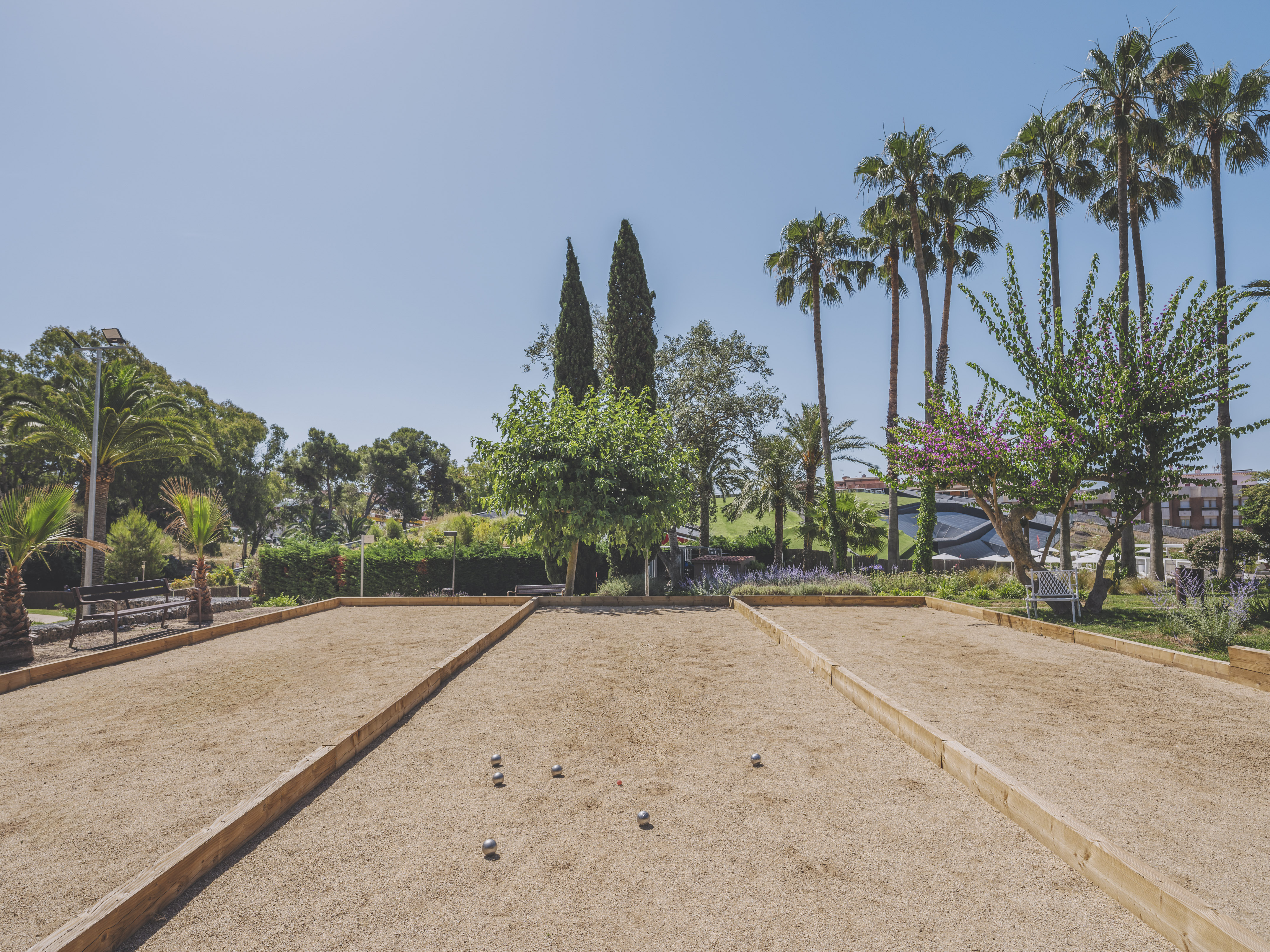 Sandy pétanque court with balls, surrounded by palm trees and greenery.